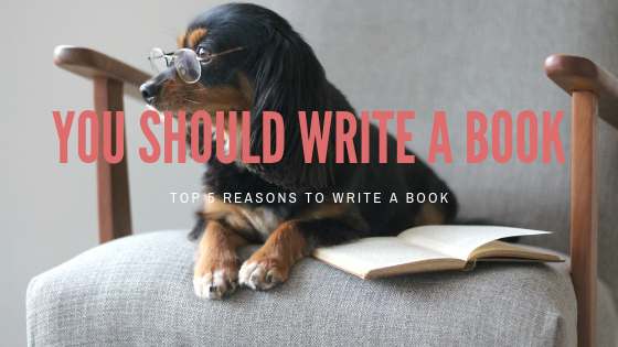 You Should Write a Book.png