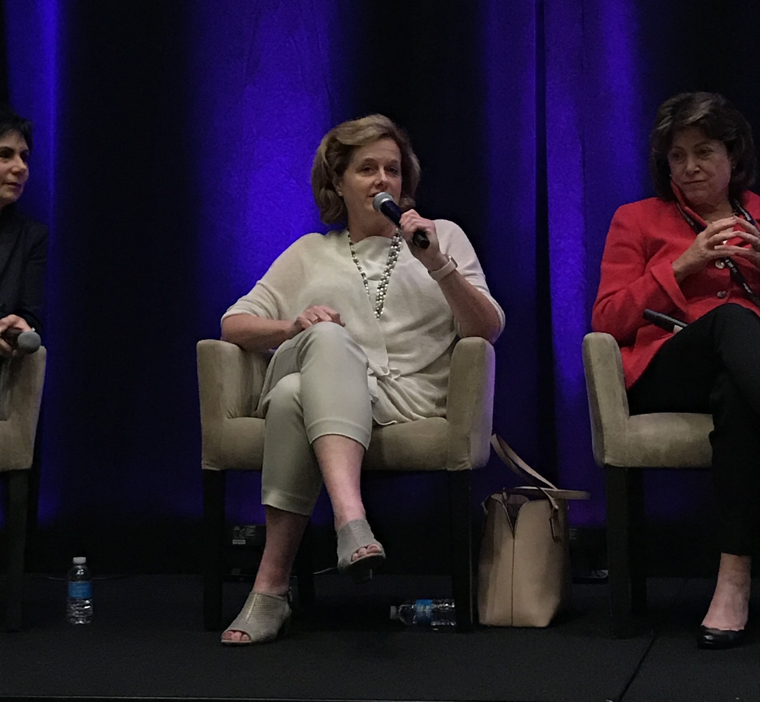 MIW Panel 2017 7.JPG