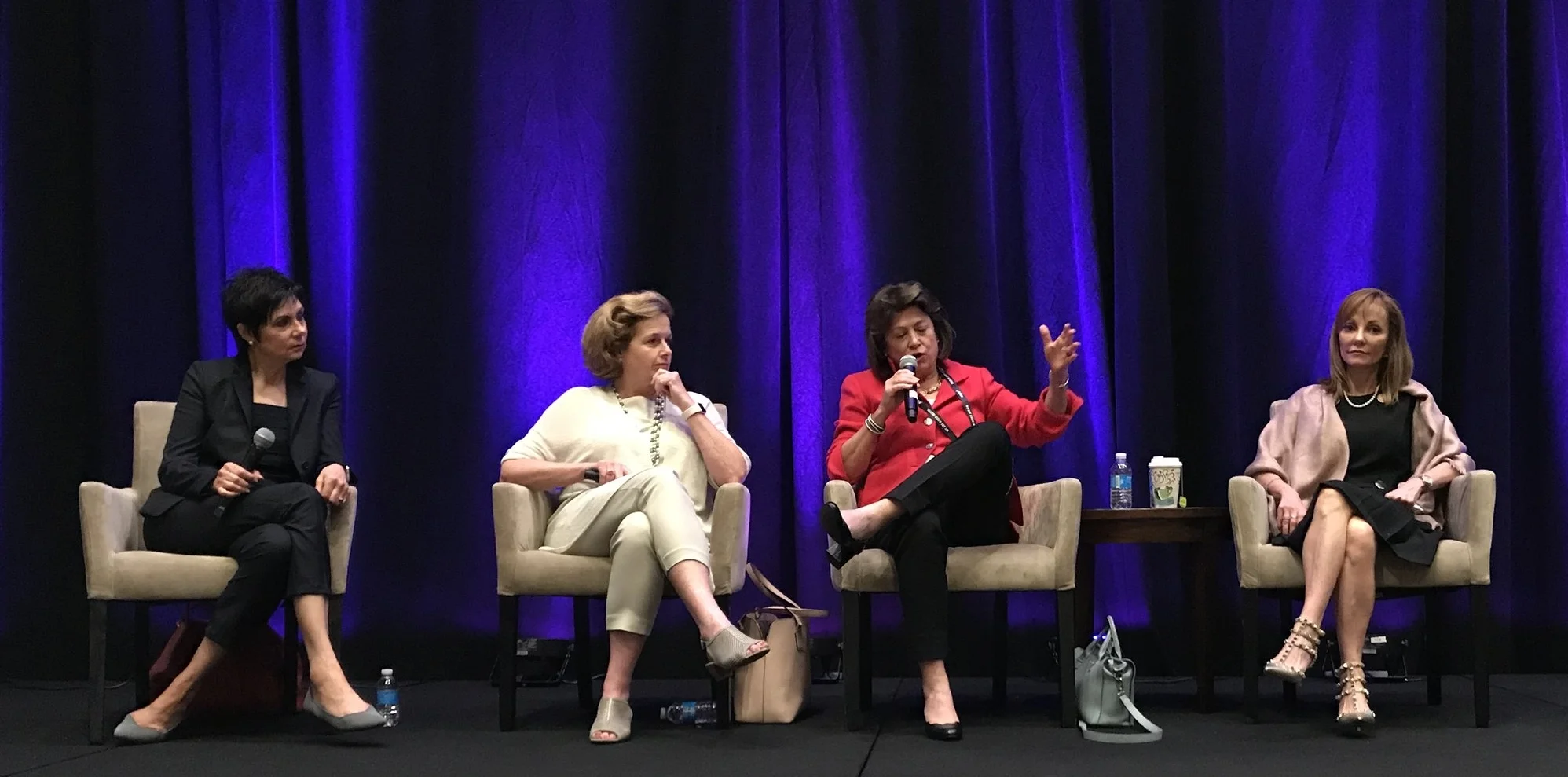 MIW Panel 2017 1.JPG