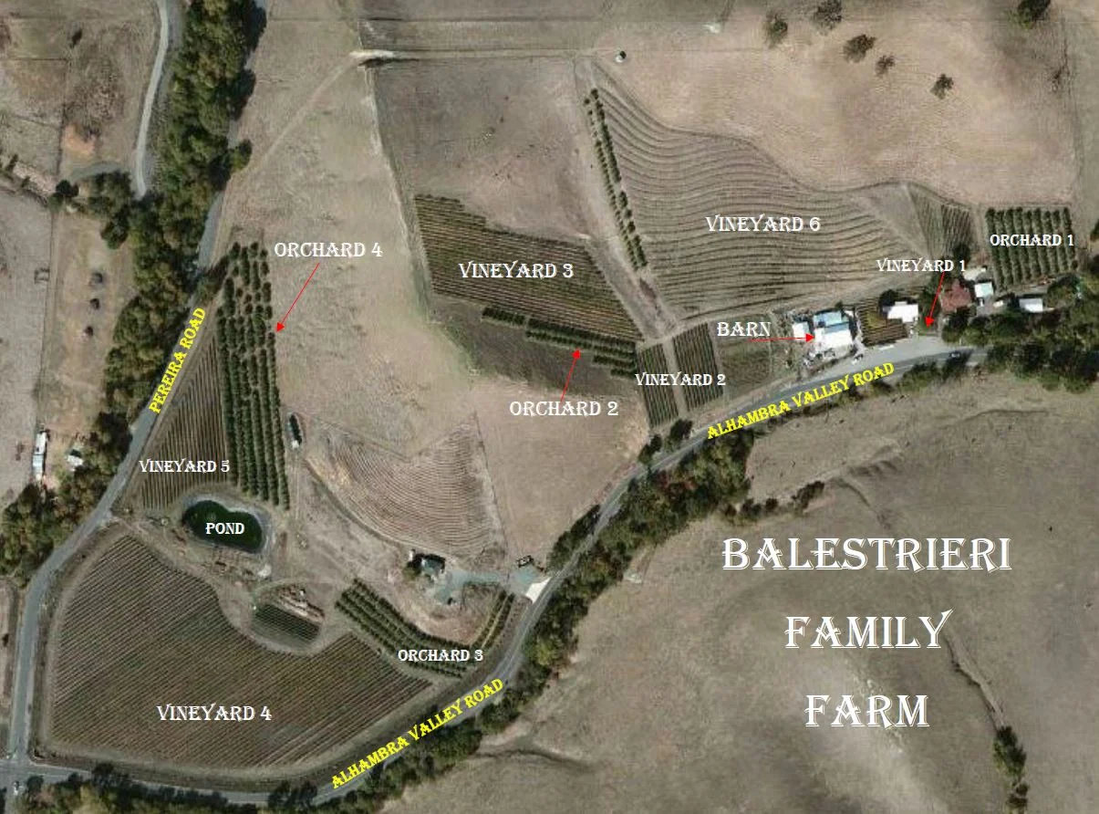 Fake Farm Map.jpg