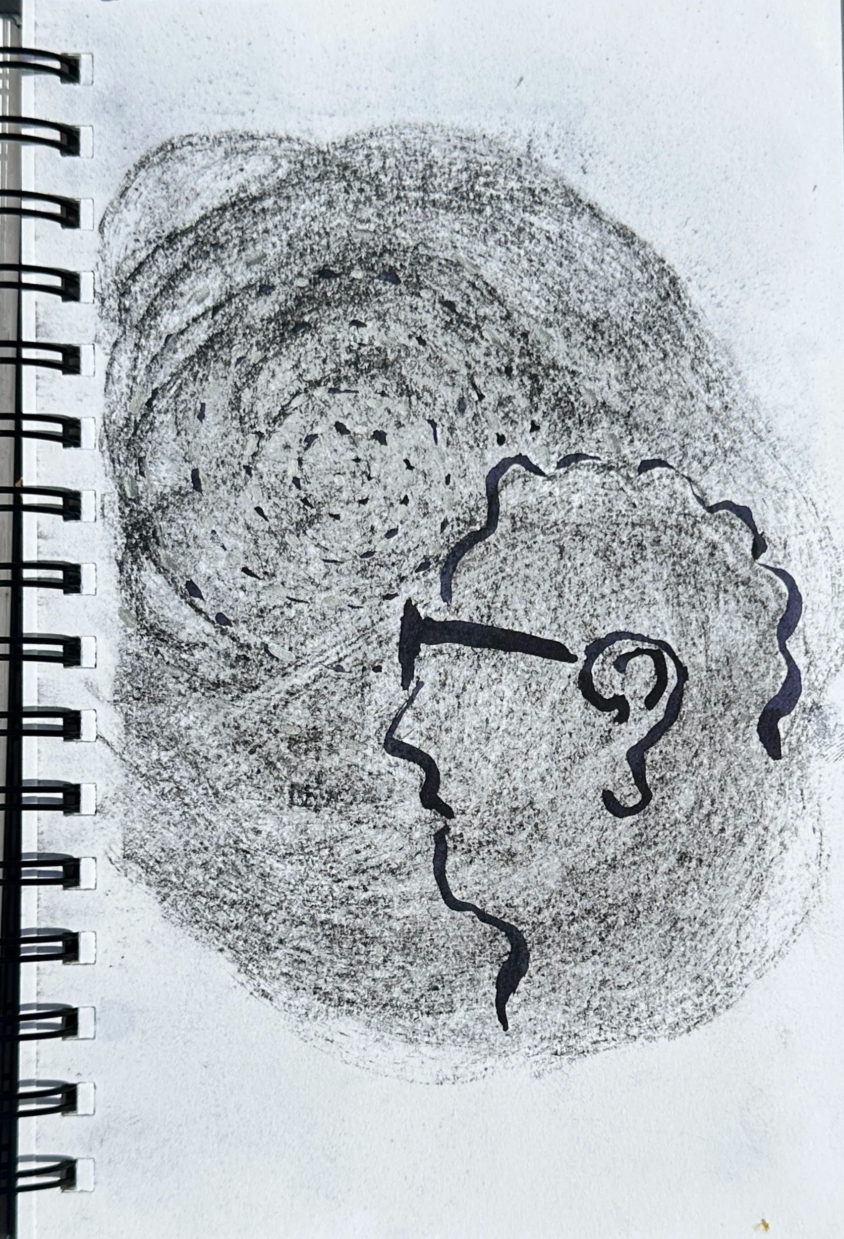 IMG_0286.png