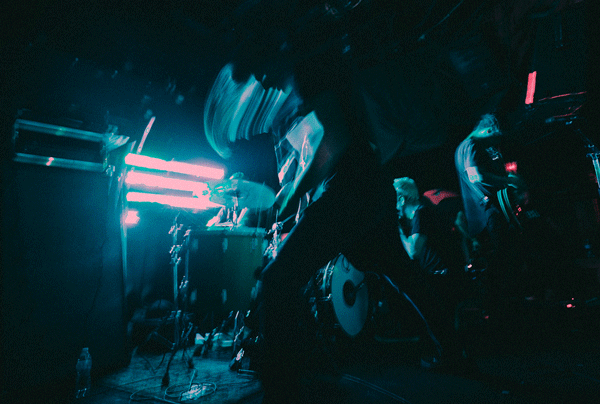 limbs-3-twitter.gif