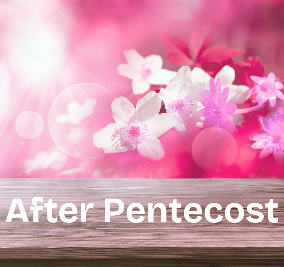 7th Sunday After Pentecost 12 July 2026