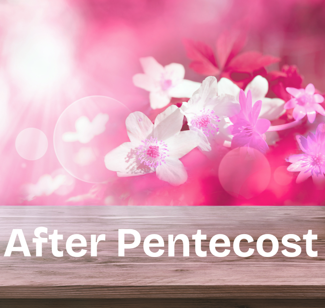 8th Sunday After Pentecost 19 July 2026