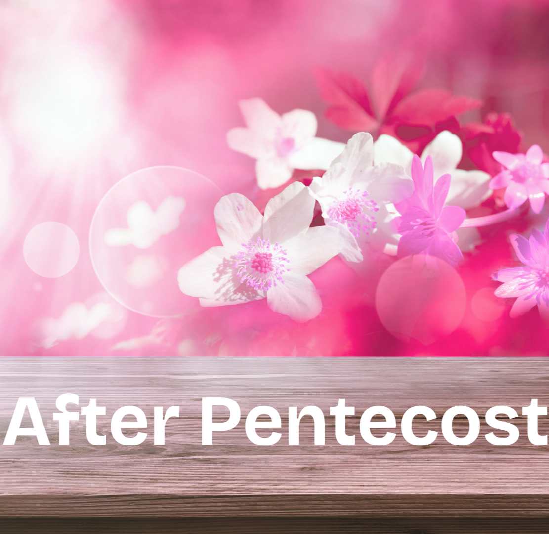 9th Sunday After Pentecost 26 July 2026
