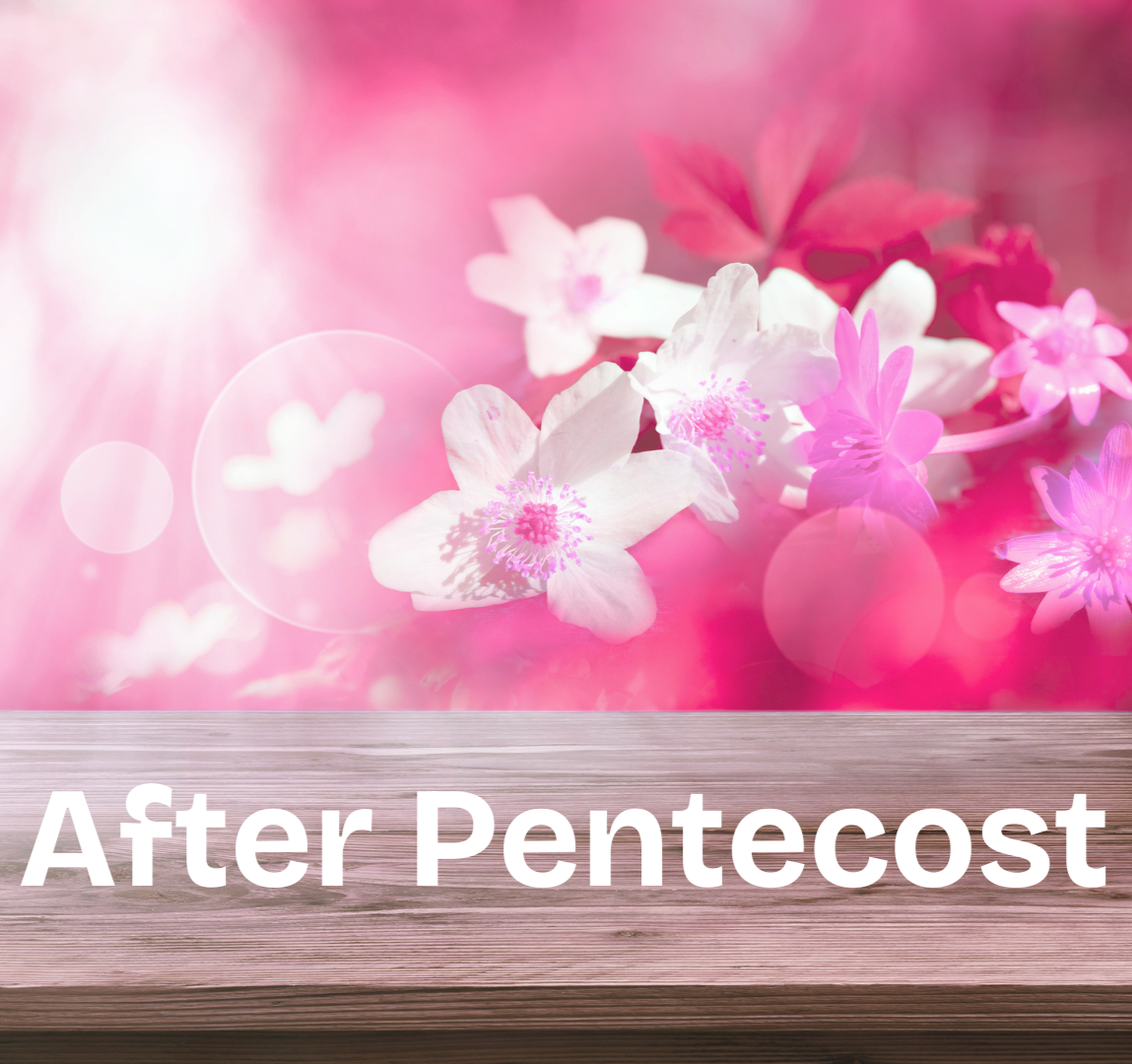 12th Sunday After Pentecost 16 August 2026