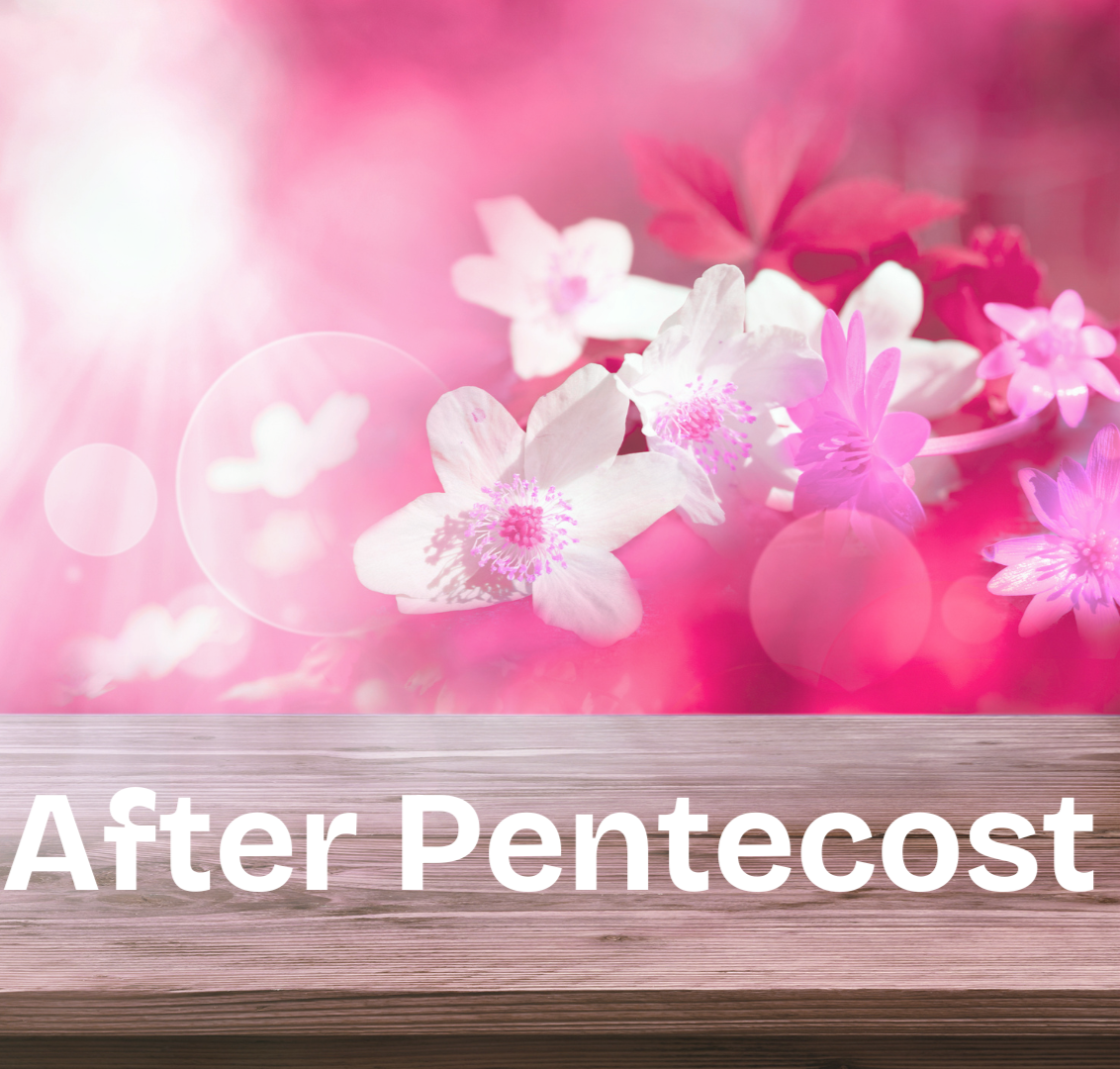 13th Sunday After Pentecost 23 August 2026