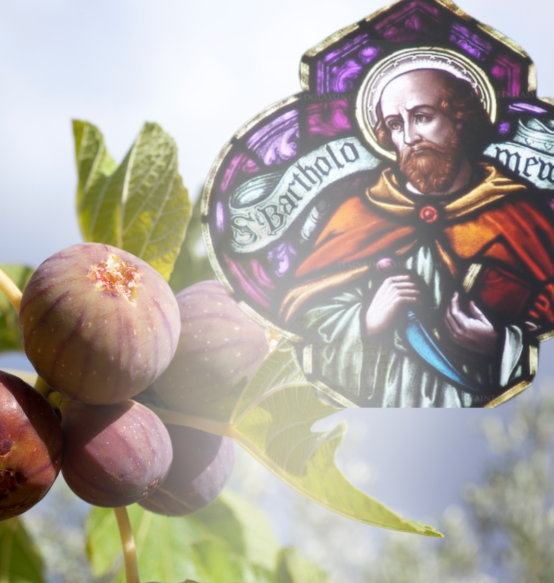 Sermon St Bartholomew - 30 August 2026