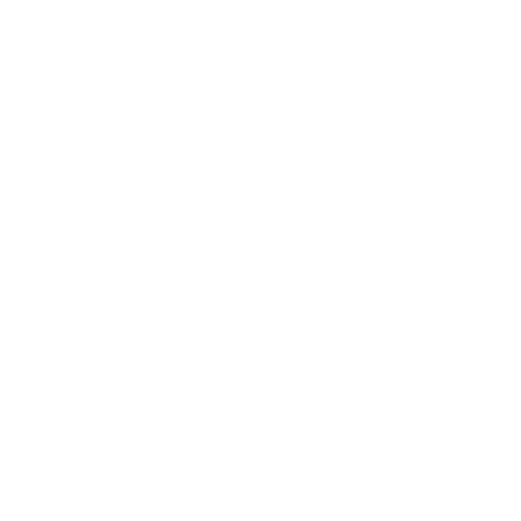 Plane Icon (Final).png