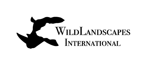 The WildLandscapes Environmental Conservation logo. A bear silhouette superimposed upon a rhino silhouette.