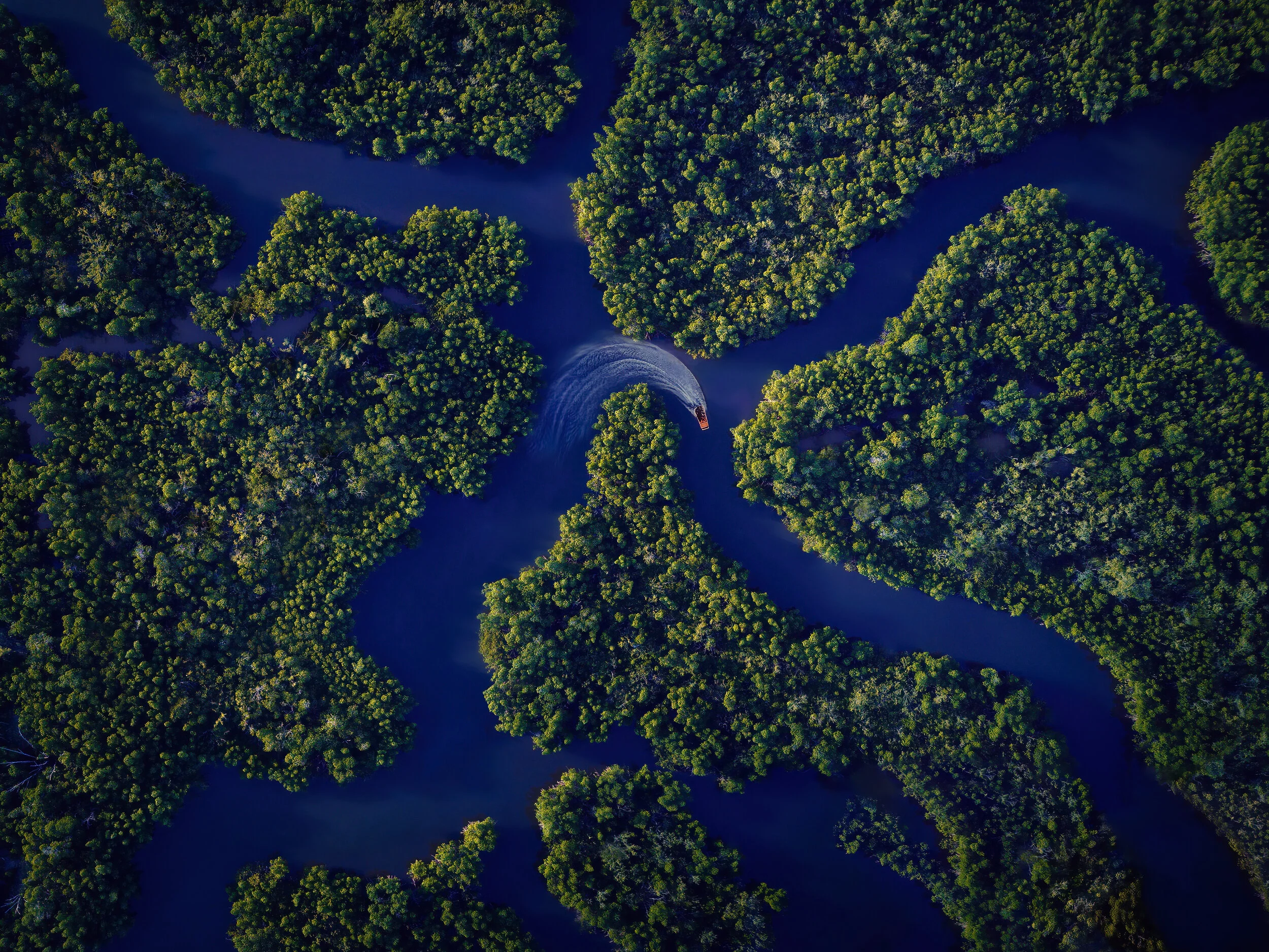 Protecting 328,600 acres in the Green Heart of the Everglades