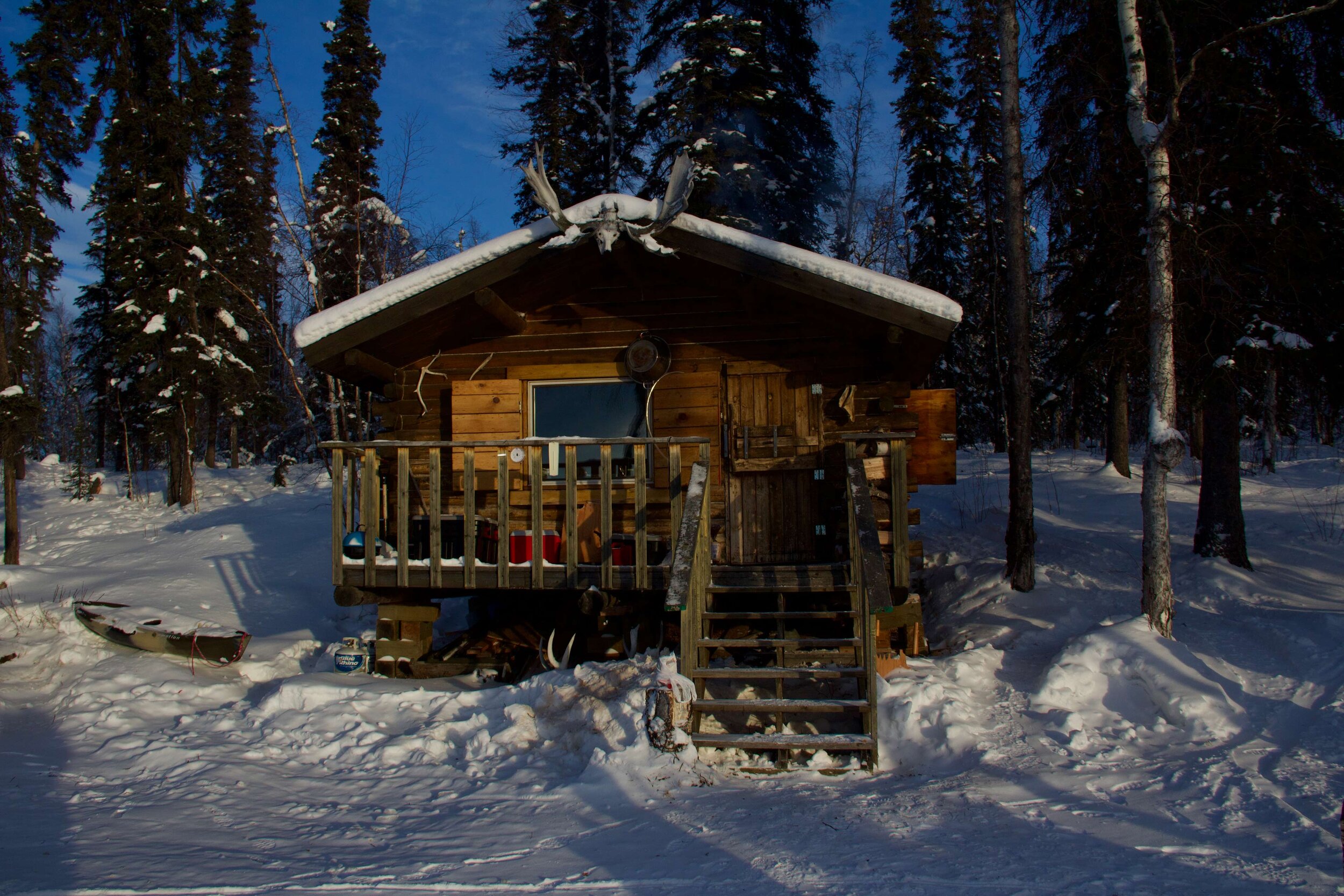  A small, remote, snow-covered log cabin in Tetlin National Wildlife Refuge with pine trees and blue skies that fill the background.  