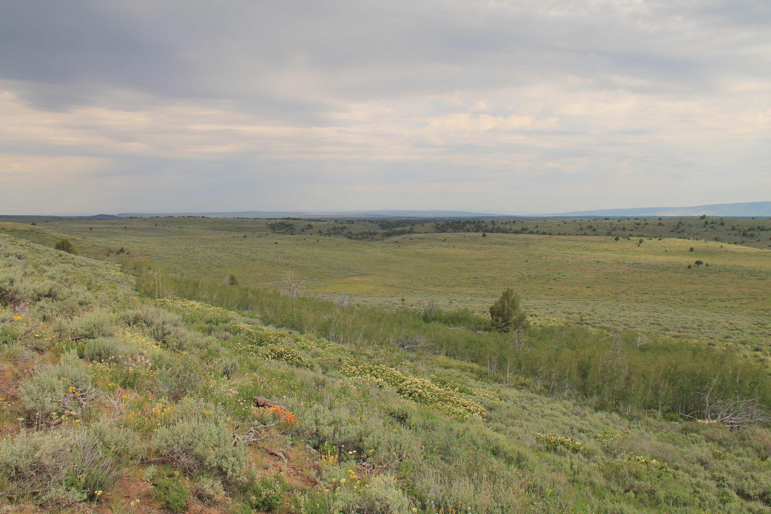  View of grasslands from a hilltop with rolling hills in the distance.  