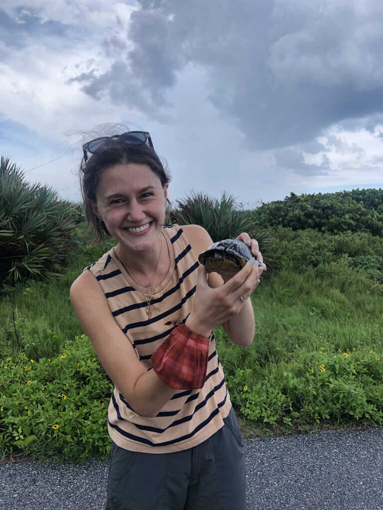 Ella helping a Florida box turtle cross the road   (Merritt Island NWR) 