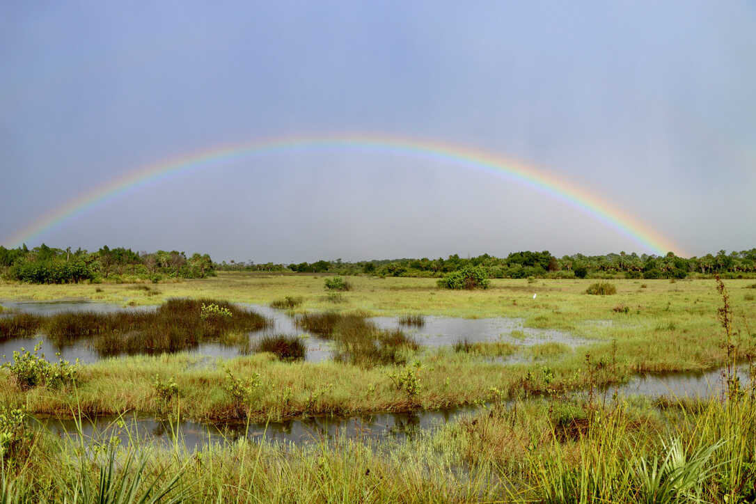  Rainbow over the salt marsh   (Merritt Island NWR) 