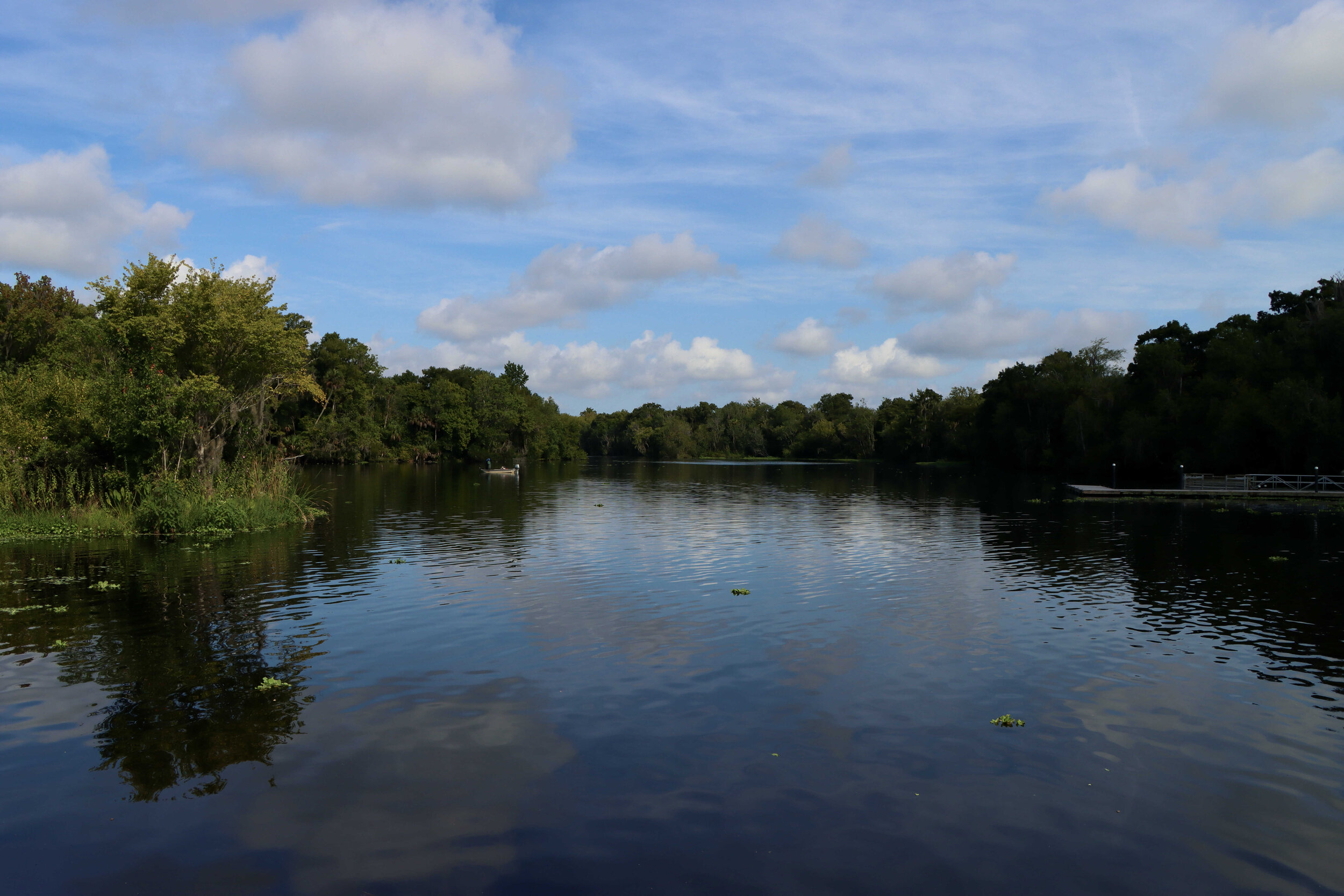  The river at DeLeon Springs State Park    