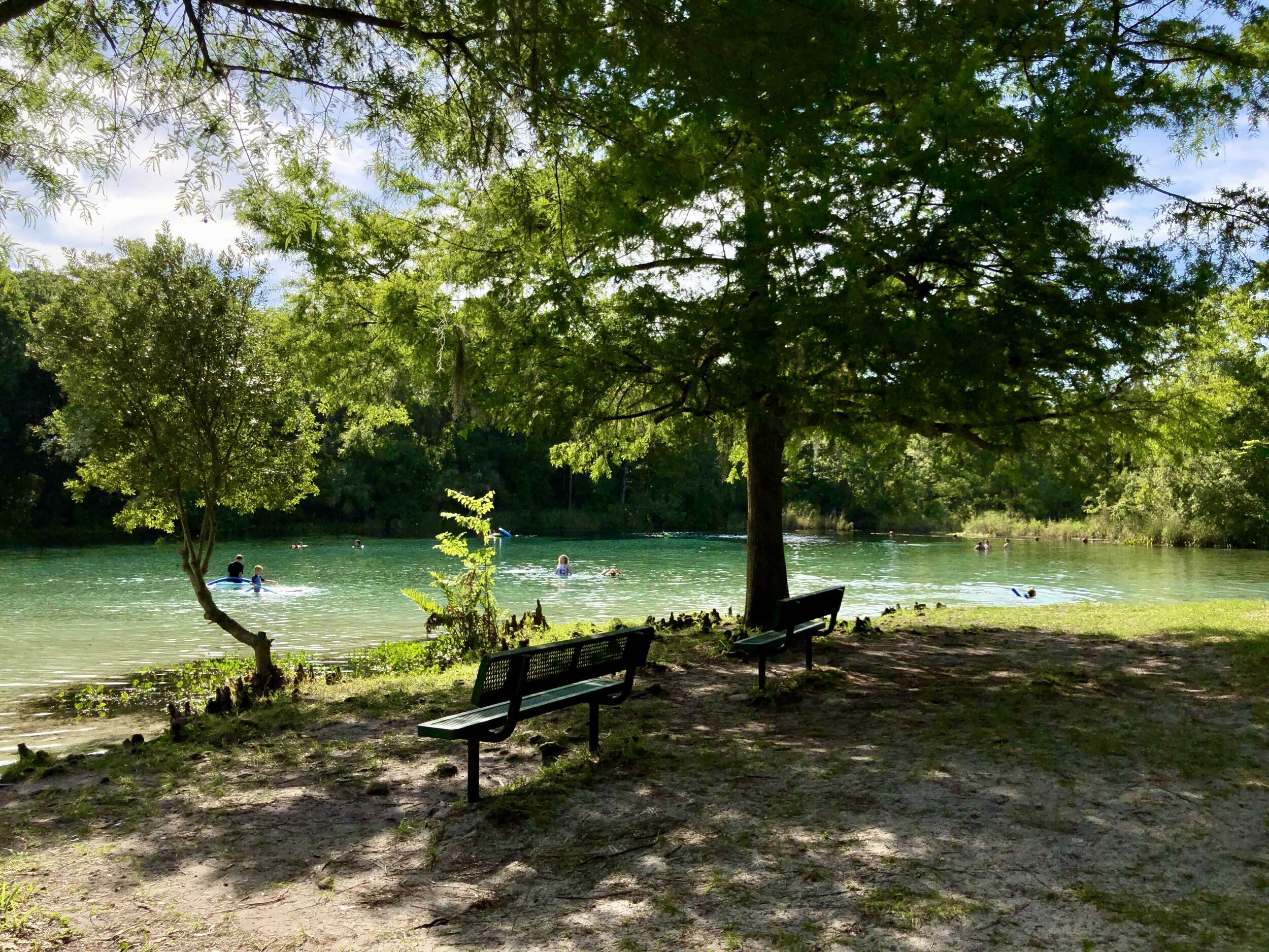  One of the crystal clear springs found in Ocala National Forest 