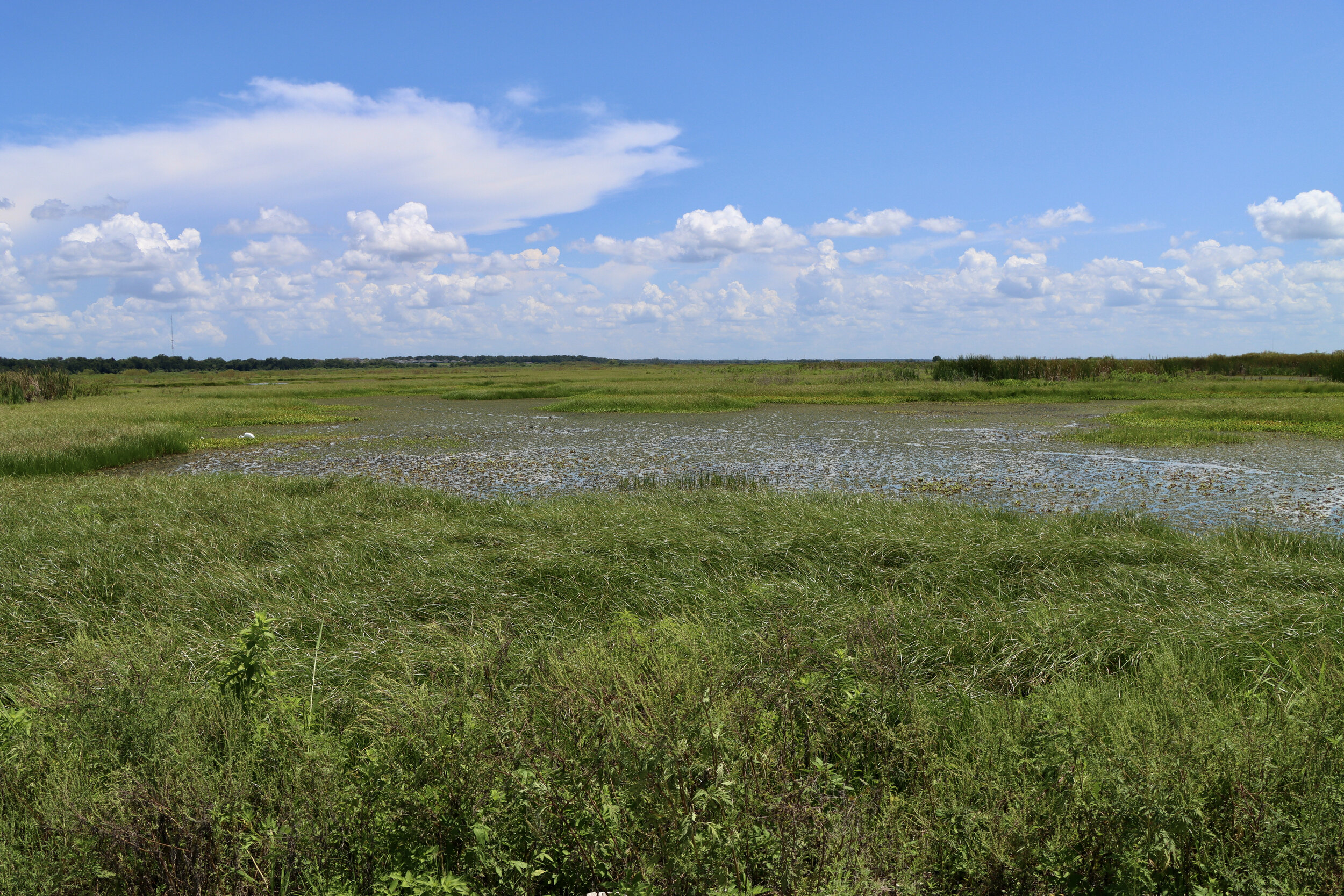  Lake Apopka Wildlife Drive (SJRWMD) 