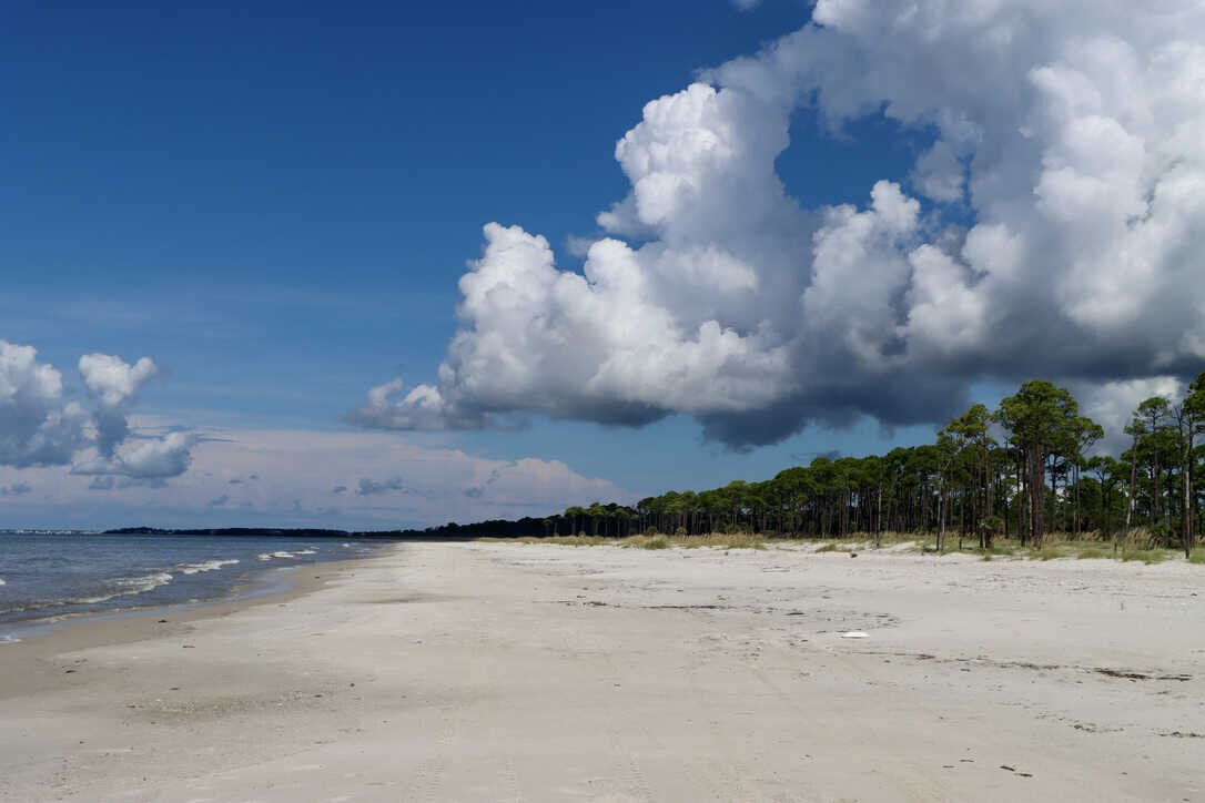  Cumulus clouds over the island during a walk on the beach  (St. Vincent NWR)  
