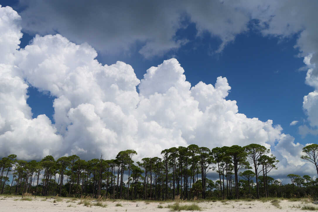  Cumulus clouds over the island  (St. Vincent NWR)  