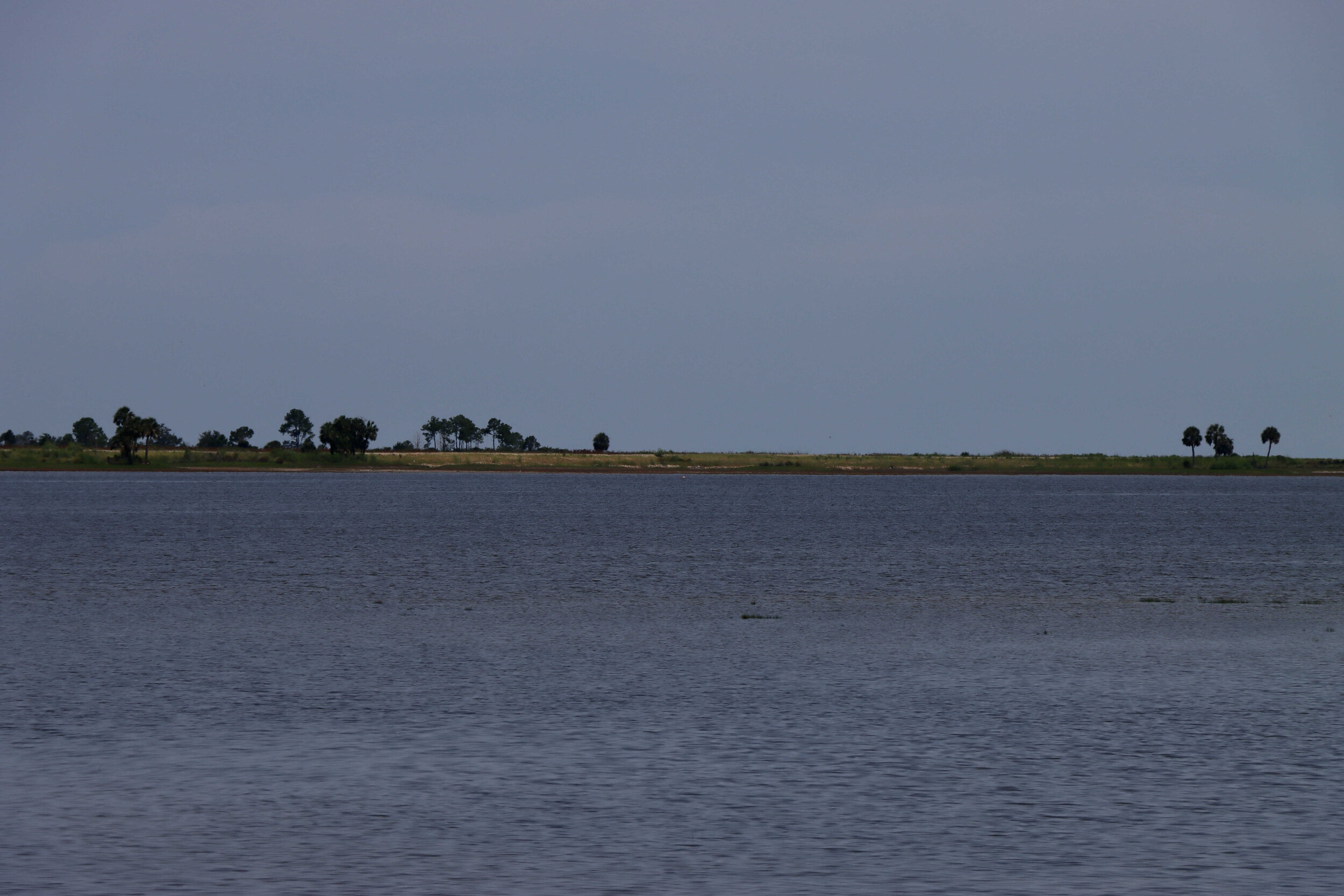  View of the saltwater marsh - there’s a tiny pink speck in the distance - that’s  Pinky the flamingo !  