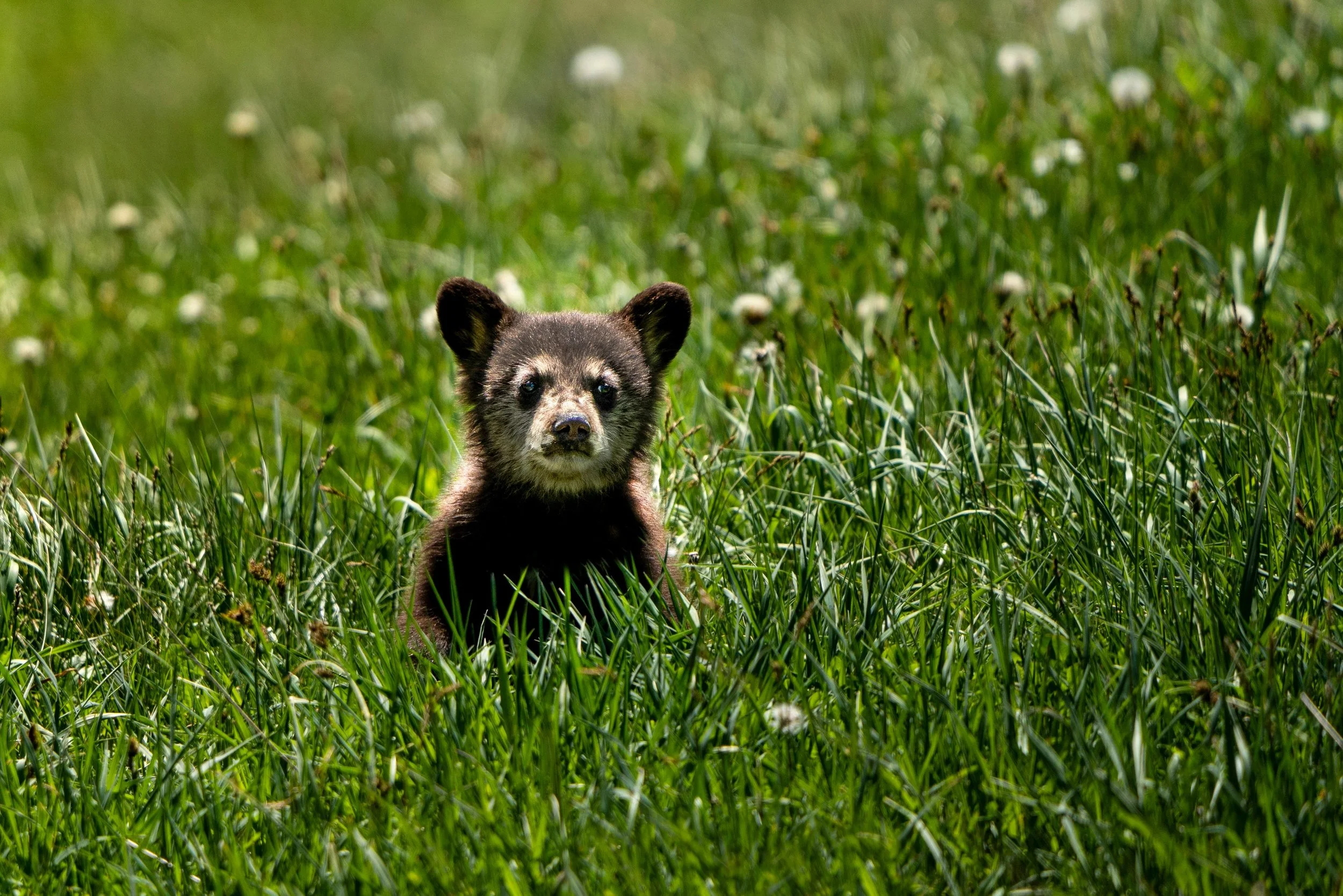 2025 Mid-Year Momentum: Updates from the Field