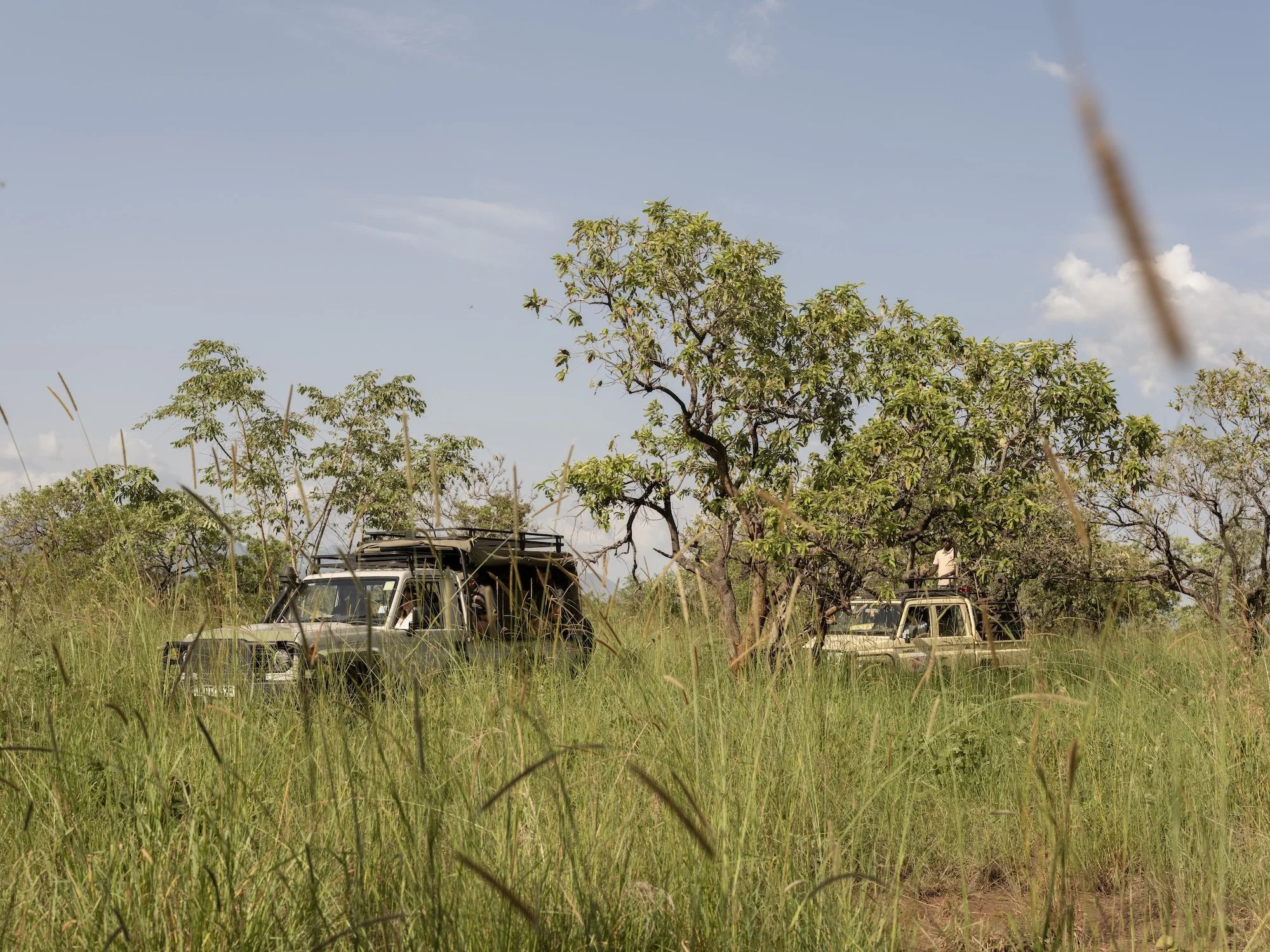 Kidepo Valley National Park_Karamoja region_Northeast Uganda_03-06.06.25_David Chancellor_00461.jpg
