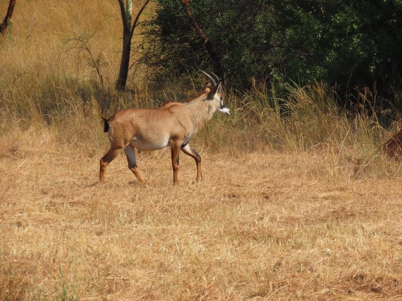 WhatsApp Image 2025-02-19 at 14.16.19 (1).jpeg