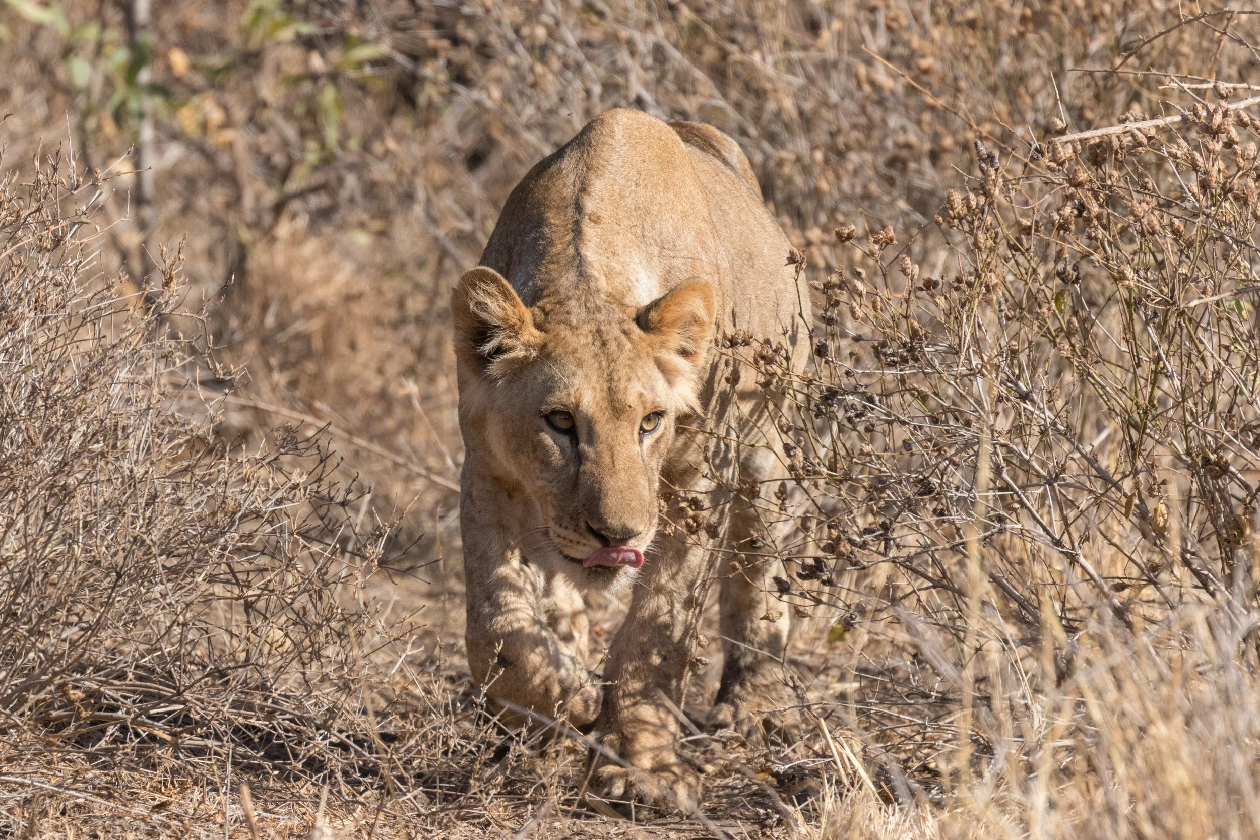 Meru to Marsabit, Kenya