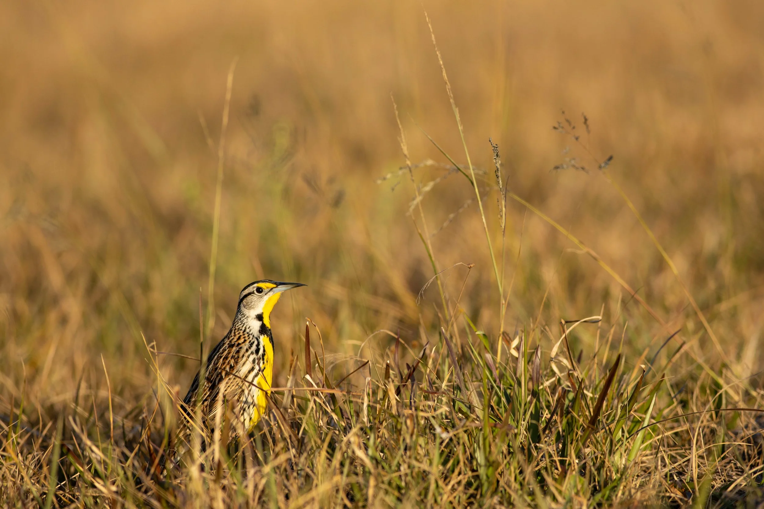 Our final update of 2025