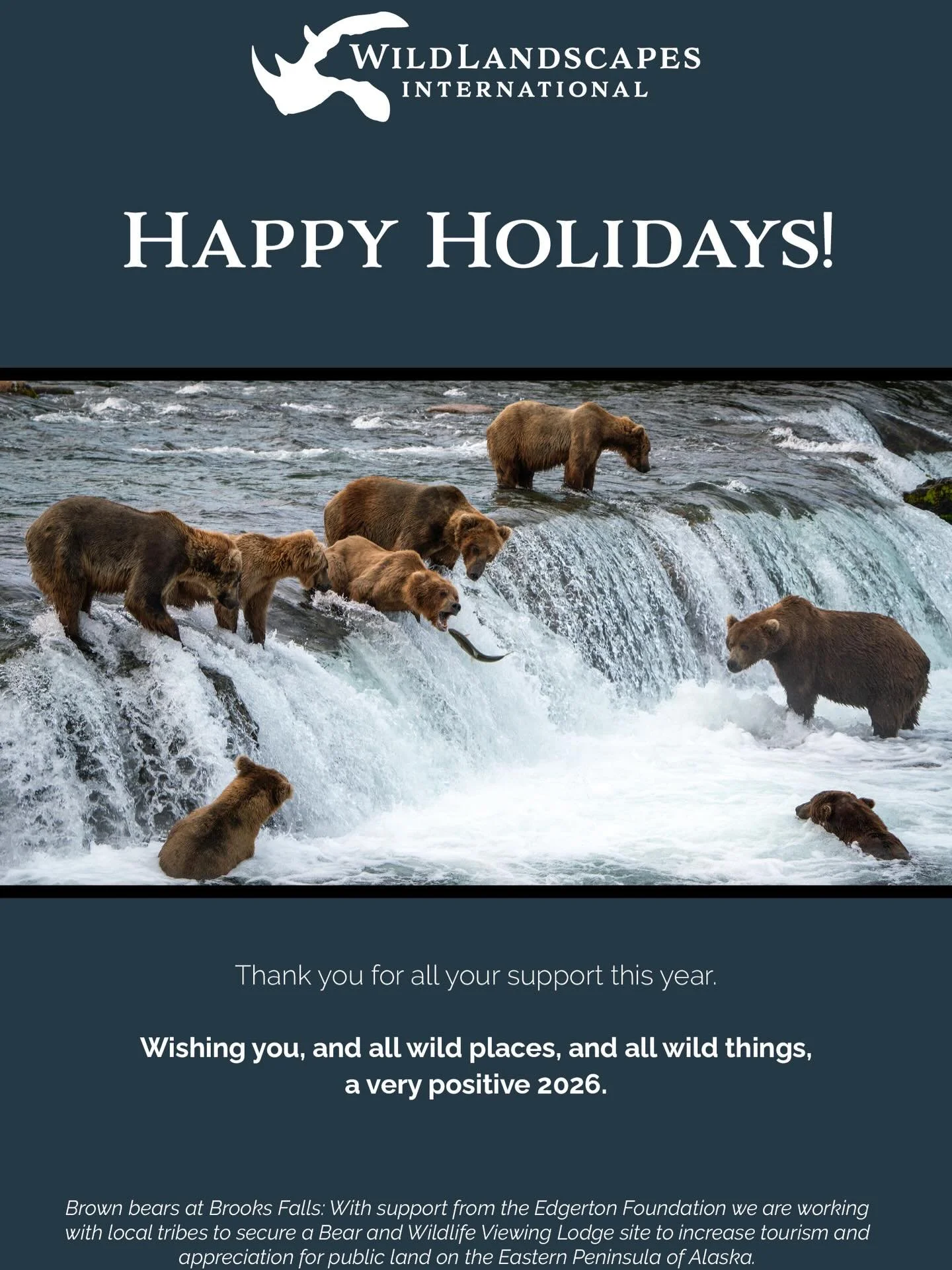 What a year it&rsquo;s been! From Uganda to Kenya to Florida, we&rsquo;ve seen real progress on projects that once felt like distant hopes. Dogged determination and sheer persistence are turning those dreams into solid, sustainable reality. Thank you