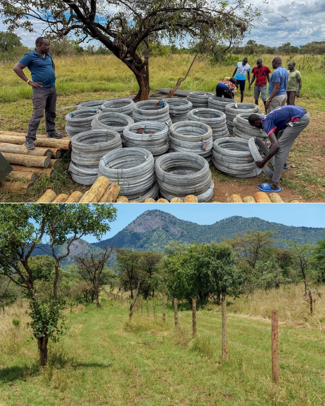 After months of intense planning and logistics, the next phase of fence construction is now underway in Kidepo Valley National Park, with 5.6 kilometres completed and powered so far.

This fence will eventually encircle an 18.2 square kilometre sanct