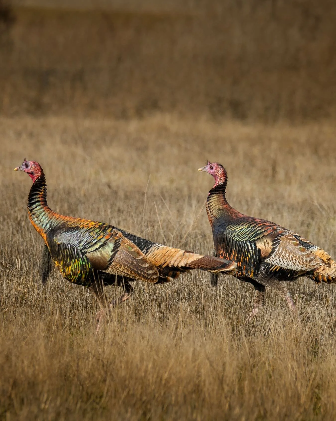 &ldquo;No one who achieves success does so without the help of others. The wise and confident acknowledge this help with gratitude.&rdquo; &ndash; Alfred North Whitehead.

This Thanksgiving, we are taking a moment to reflect on what we&rsquo;re most 