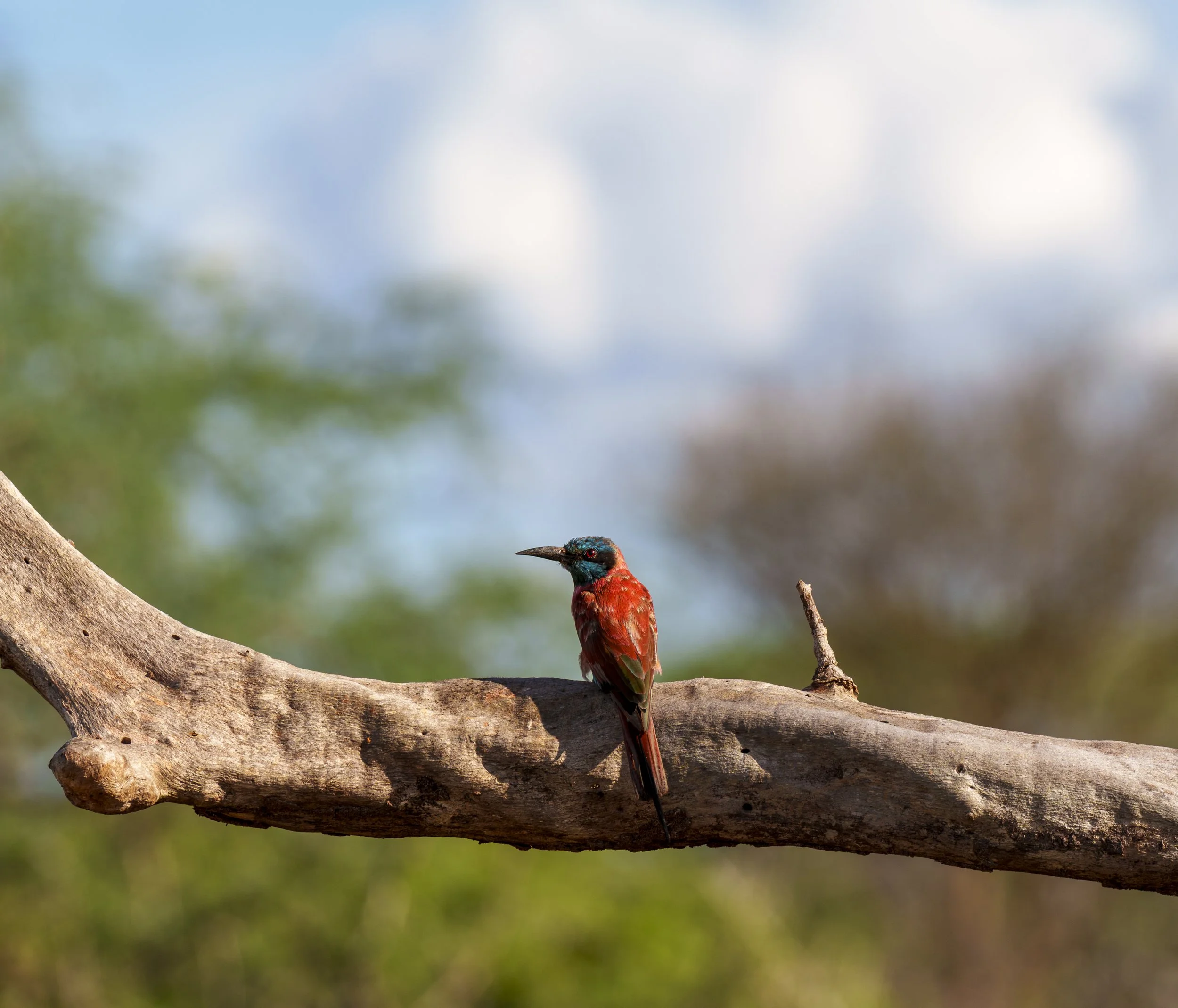 Year-End Update 2025