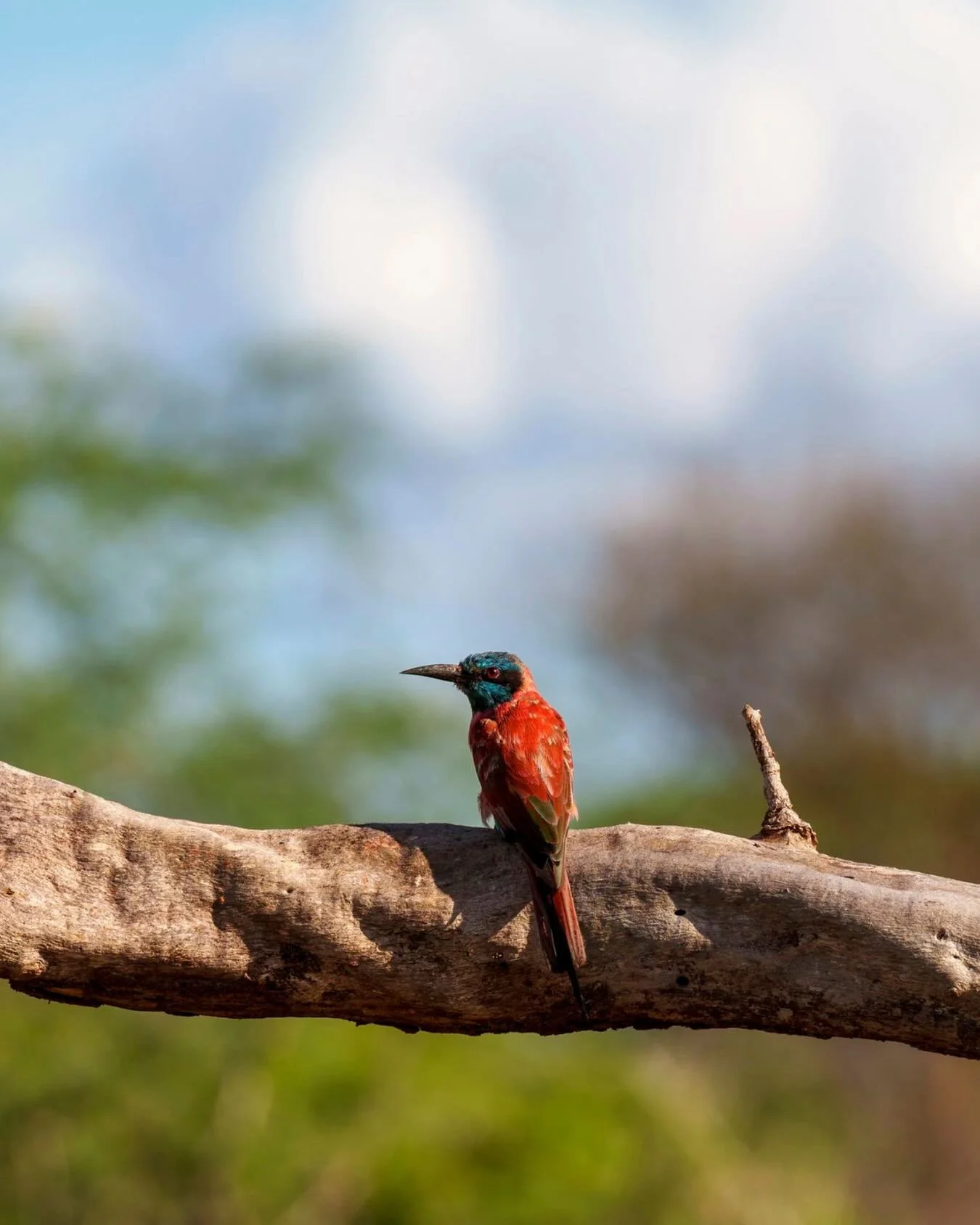 2025 was not an easy year - for anyone - but for us, it was a meaningful one. A lot of the progress came from sheer persistence - working things through alongside partners, patiently holding the line rather than rushing for neat outcomes. Though diff