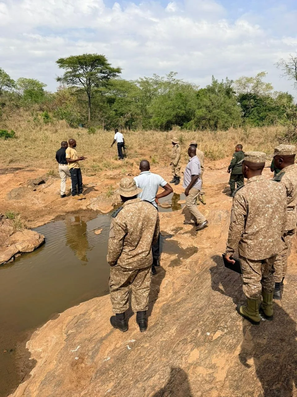 WhatsApp Image 2026-03-11 at 09.51.04.jpeg