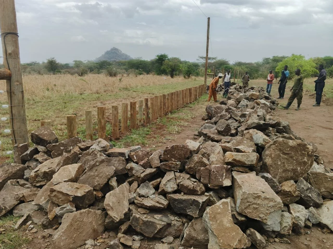 WhatsApp Image 2026-03-11 at 09.51.06.jpeg