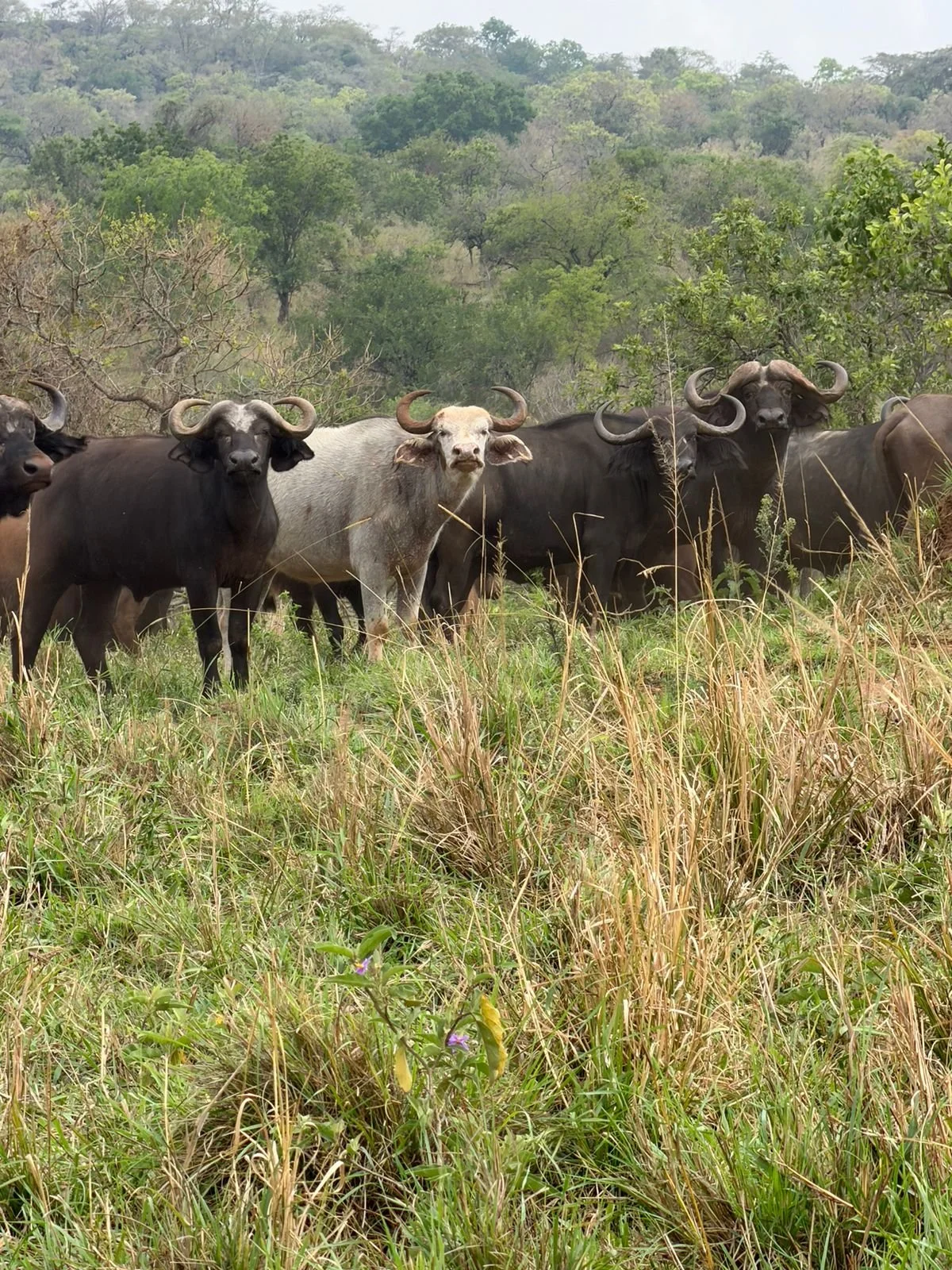 WhatsApp Image 2026-03-11 at 09.49.27.jpeg