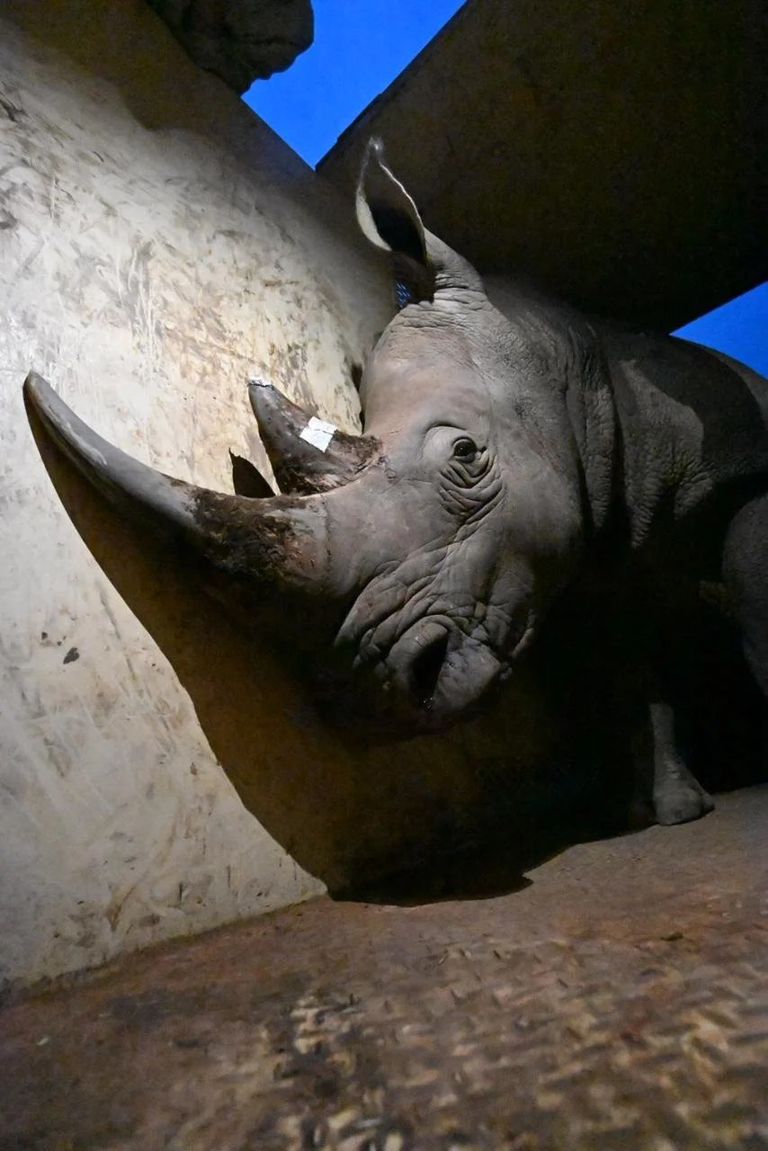 WhatsApp Image 2026-03-20 at 12.14.05.jpeg