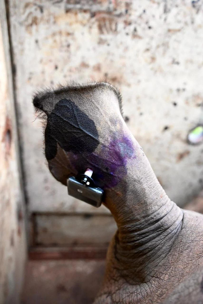 WhatsApp Image 2026-03-20 at 12.14.07.jpeg