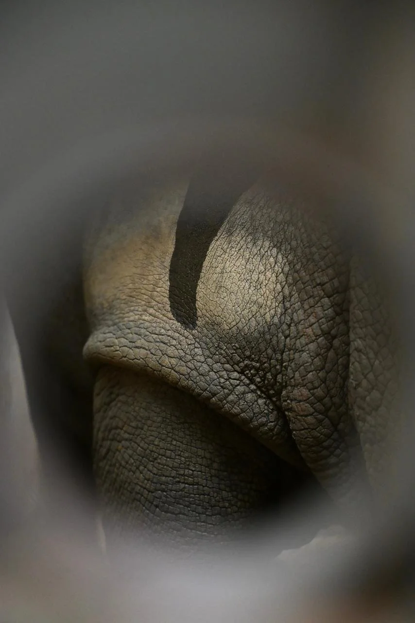 WhatsApp Image 2026-03-20 at 12.14.12.jpeg