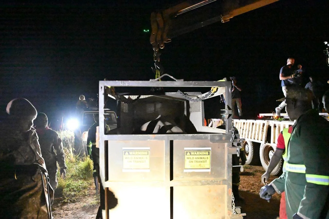 WhatsApp Image 2026-03-18 at 08.52.54.jpeg