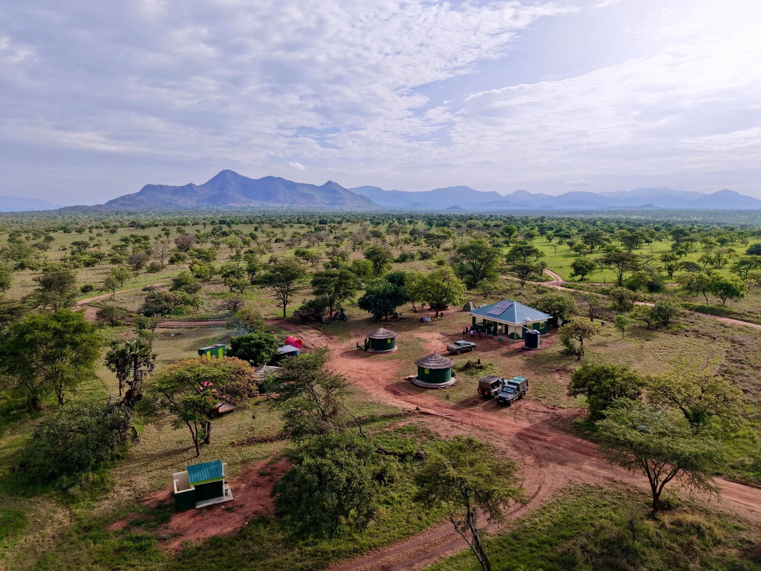 WhatsApp Image 2026-03-19 at 13.15.38.jpeg