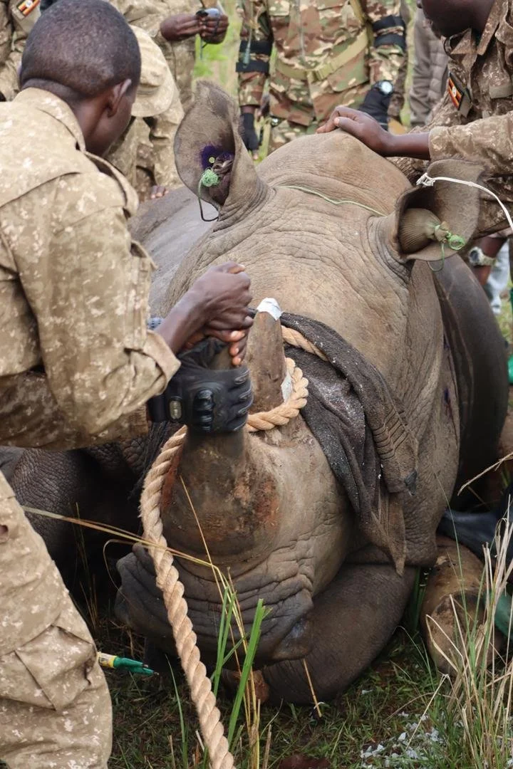 WhatsApp Image 2026-03-19 at 17.40.03.jpeg