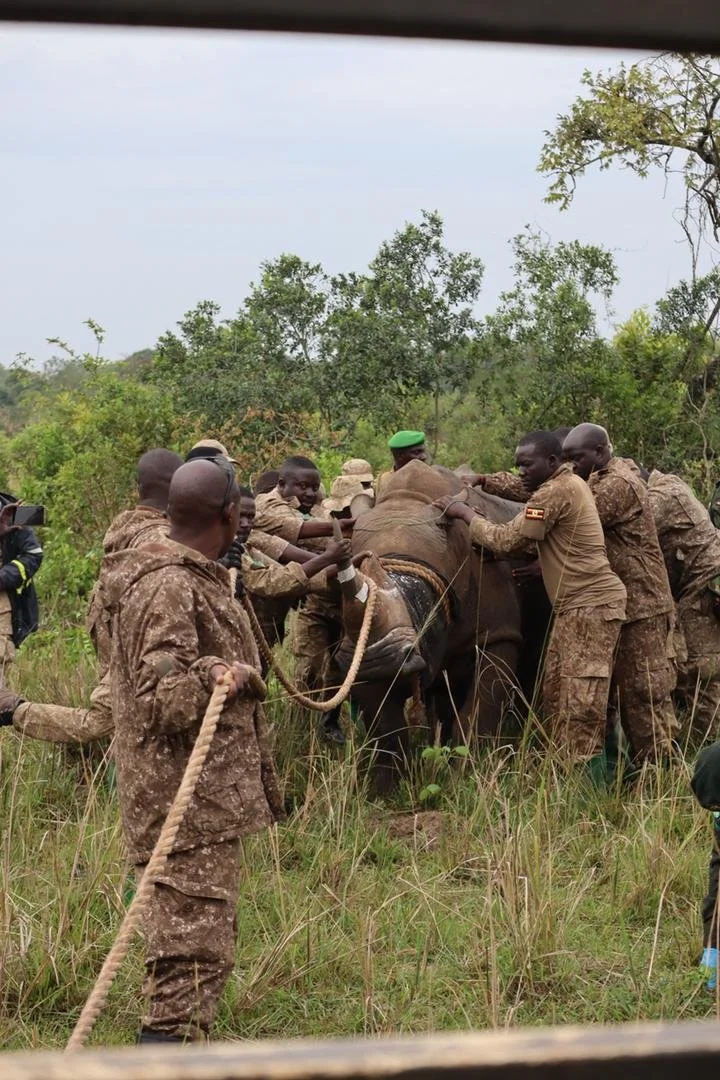 WhatsApp Image 2026-03-19 at 17.40.02.jpeg