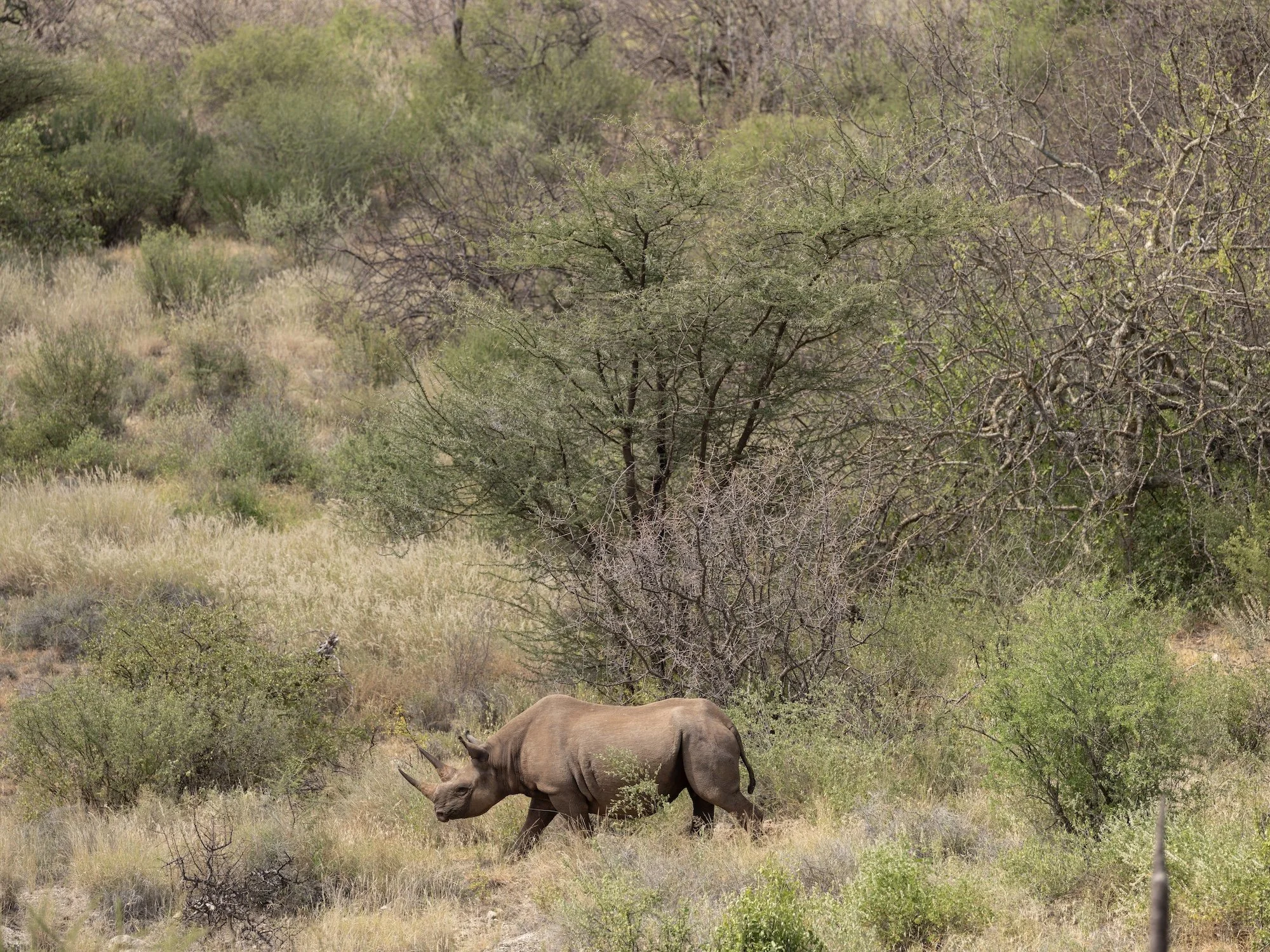 Samburu, Kenya