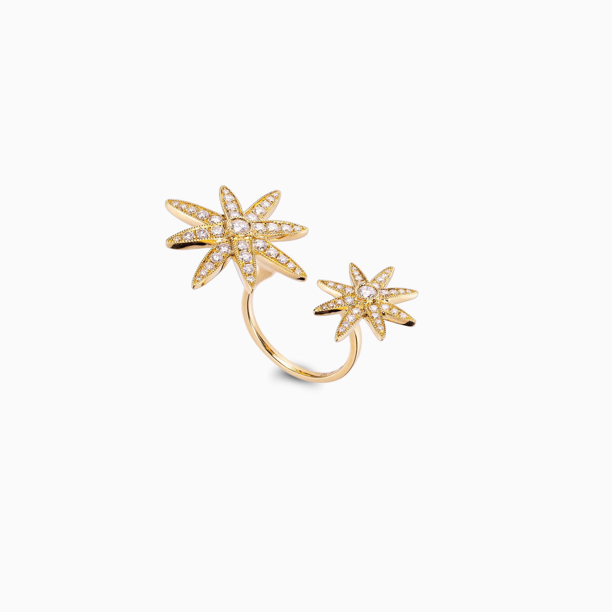 Two Star Diamond and 18ct Yellow Gold Ring.jpg