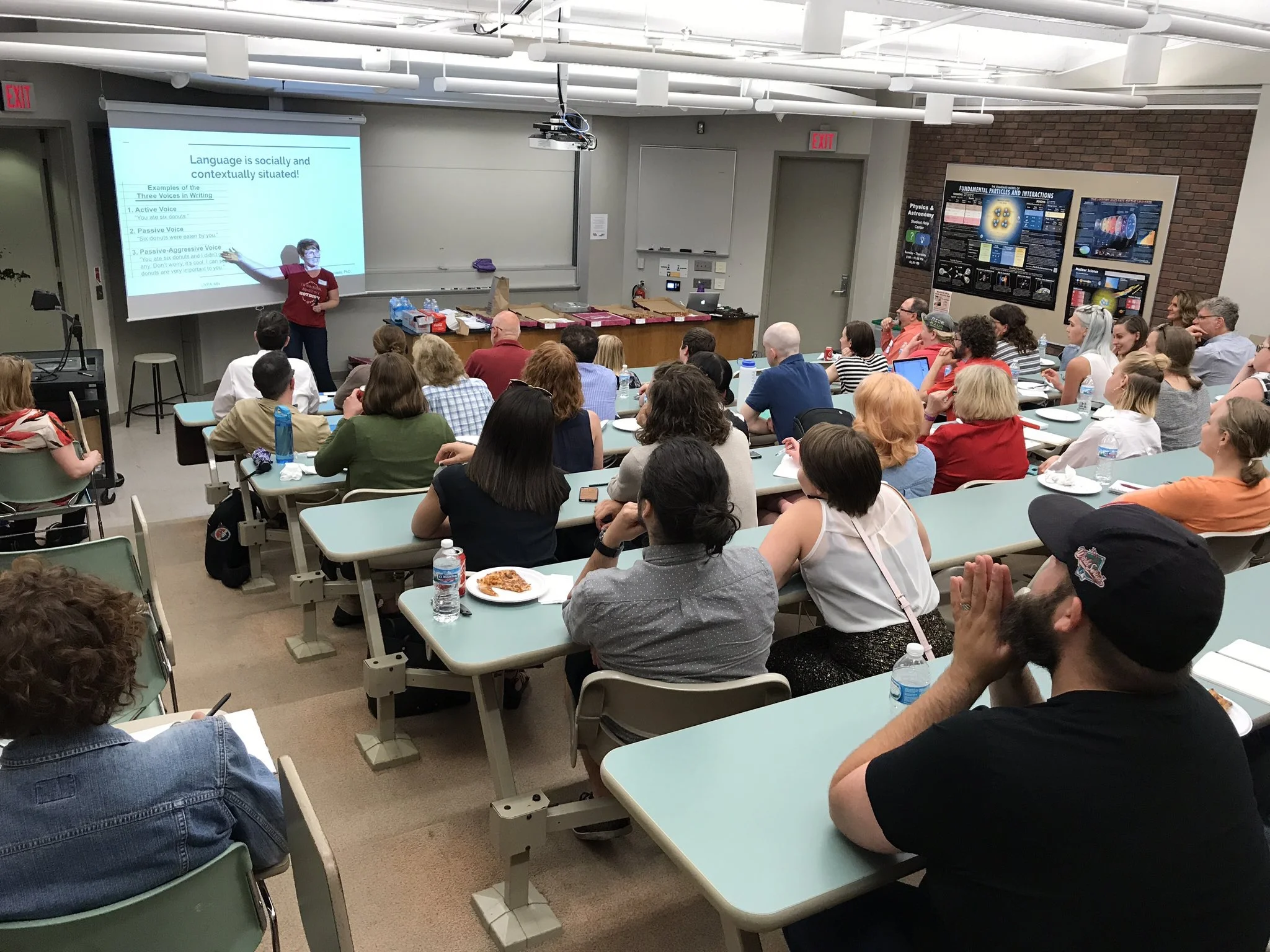 Don't Shut Me Out! Language is Content, Usability, and Accessibility. UXPA-MN, 8 June, 2017.