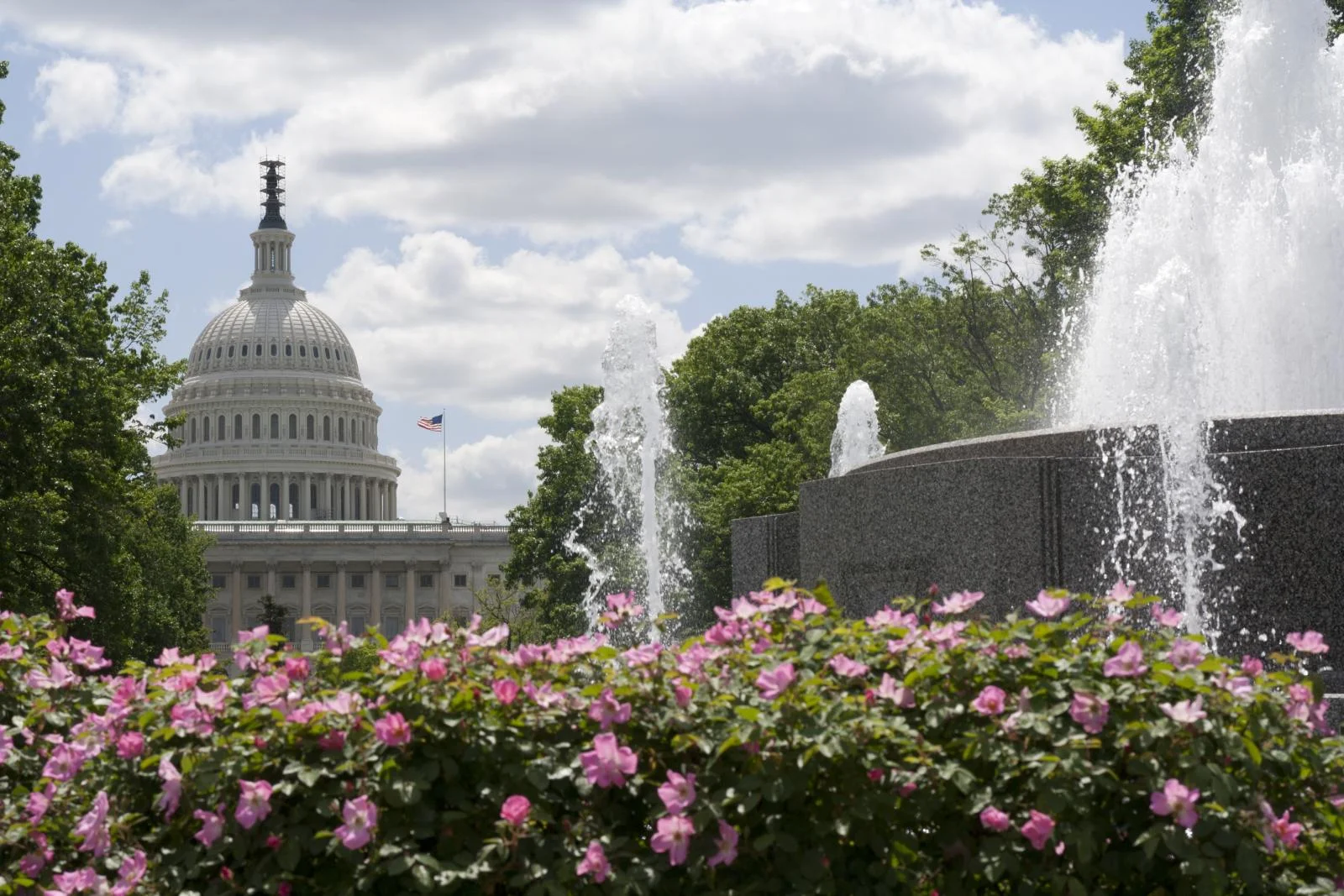 Washington DC Spring Guide