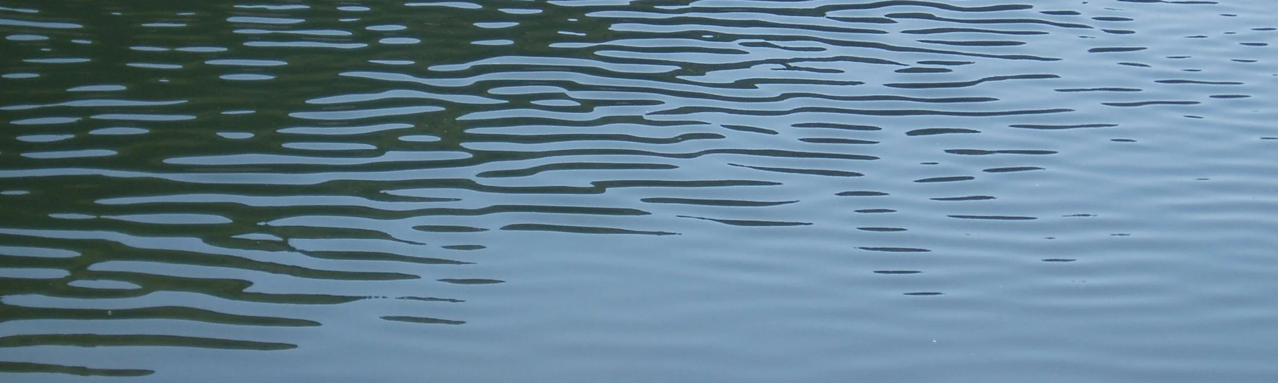 Water banner.jpg